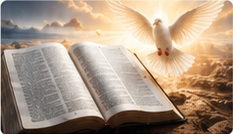 A dove flying above an open Bible in warm sunlight